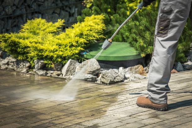 Best Dumpster Area Cleaning  in Shelton, WA